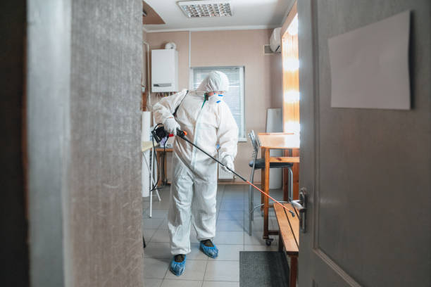 Best Mold Remediation for Vacation Homes  in Bristol, IN