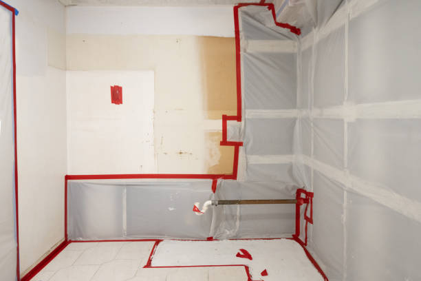 Best Mold-Related Health Consultation  in Bristol, IN